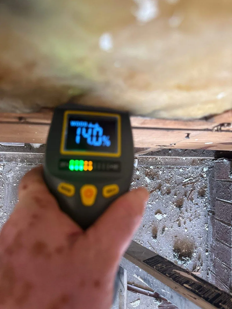 A moisture meter reading 74 percent on an affected wall